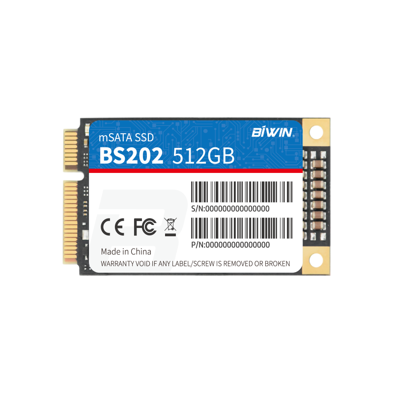 mSATA SSD