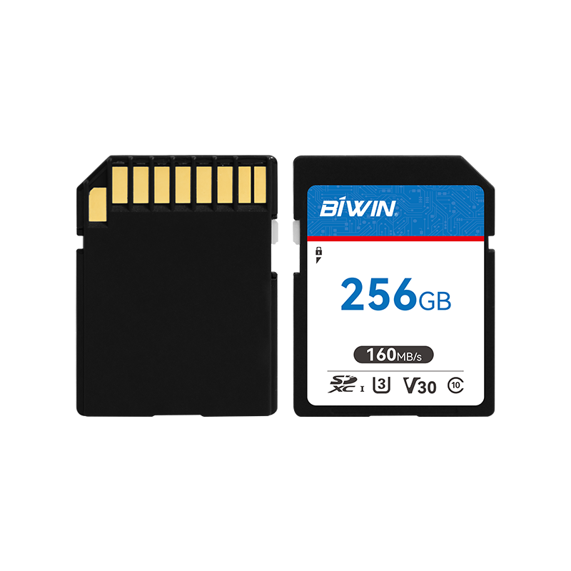 BIWIN SD Card（圖1）